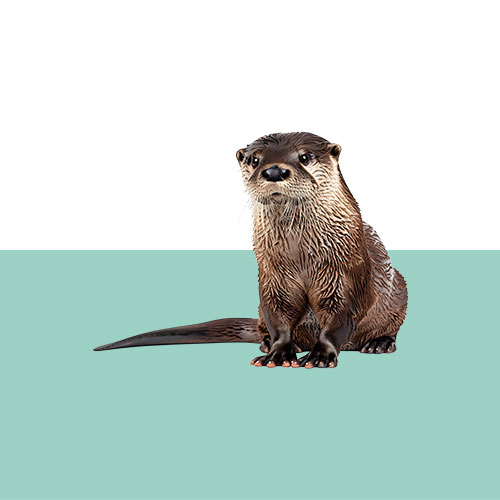 otter-graph